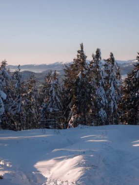 Kar ve dağlarla kaplı kış manzarası