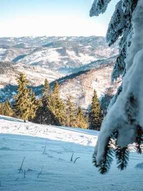 Dağlarda kış manzarası