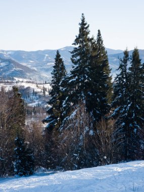 Karpatlar, Ukrayna ve Avrupa 'da kış manzarası