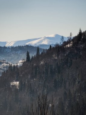 Czech Cumhuriyeti 'nde kış, bedy - Çek Cumhuriyeti