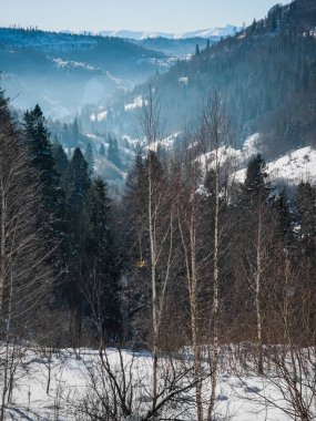 Kar ve buzla kaplı ağaçlarla kaplı kış manzarası.