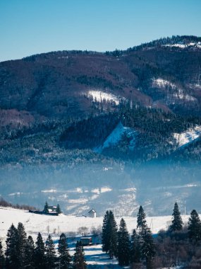 Karla kaplı ağaçlarla kaplı güzel kış manzarası