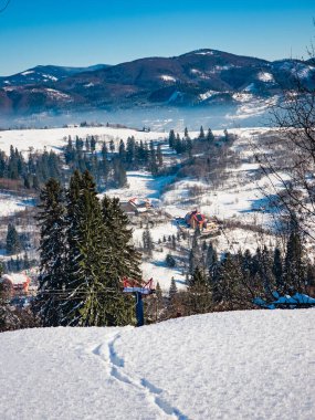 Karla kaplı ağaçlarla kaplı kış manzarası