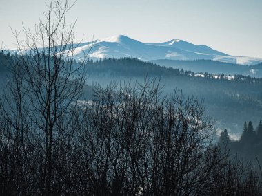 Arkasında bir dağ olan güzel bir manzara.