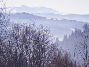 Karla kaplı ağaçlarla kaplı kış manzarası