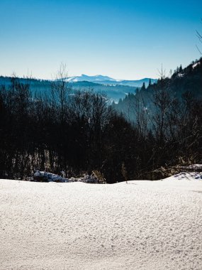 Karla kaplı ağaçlarla kaplı kış manzarası