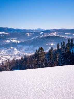 kar kış manzara orman kaplı
