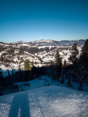 Karla kaplı ağaçlarla kaplı kış manzarası
