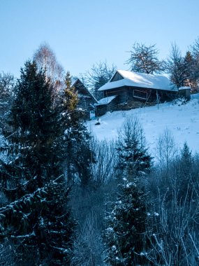 Karla kaplı ağaçlarla kaplı güzel kış manzarası