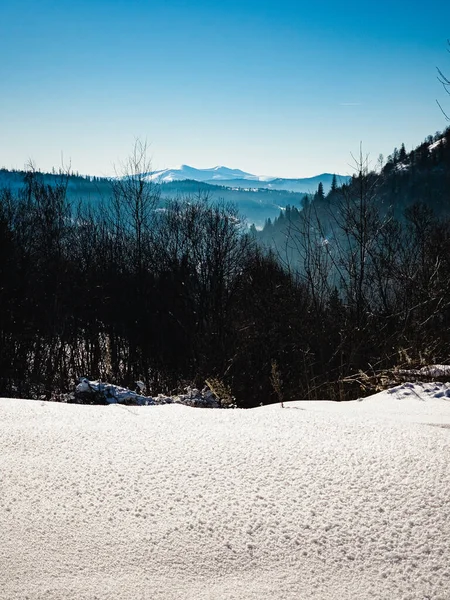 Karla kaplı ağaçlarla kaplı kış manzarası