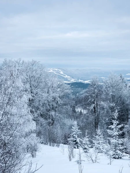 Karla kaplı dağlardan oluşan güzel kış manzarası. Karlı tepeler ve dağlarla kaplı kış manzarası