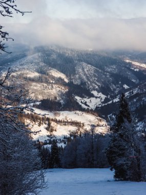 Dağlarda köknar ağacı olan kış manzarası.