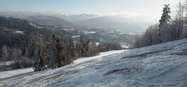 Dağlarda karla kaplı ağaçlar. Kış manzarası