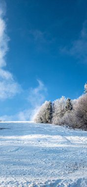 Karla kaplı ağaçlarla kaplı kış manzarası