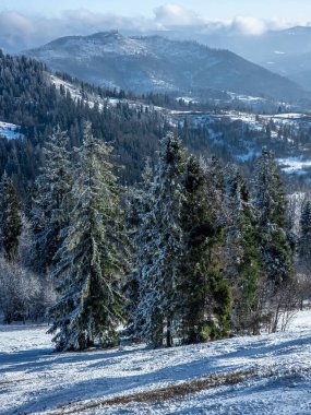 Karla kaplı ağaçlarla kaplı karlı kış manzarası. yüksek kaliteli fotoğraf