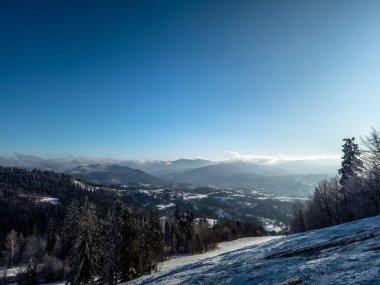 Kış manzarası karla kaplı ağaçlar ve mavi gökyüzü ile beyaz bulutlar.