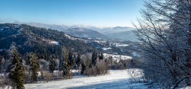 Kışın karlı dağların manzarası