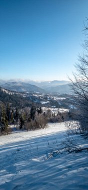 Karla kaplı ağaçlarla kaplı kış manzarası