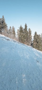 Karla kaplı ağaçlarla kaplı güzel kış manzarası