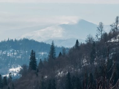 Kış manzara dağlar ve orman ile
