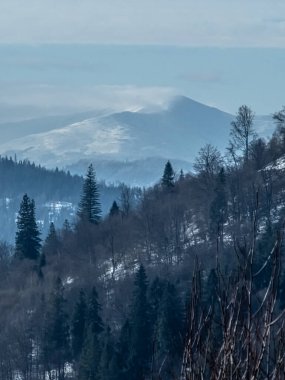 Güzel kış dağ manzarası