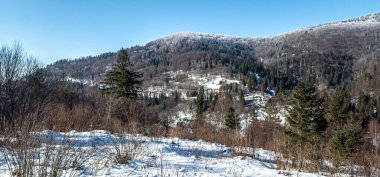 Karlı dağ vadisinin kış manzarası