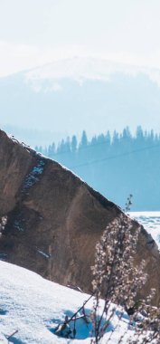 Kar- kışın ormandaki dağ zirveleri