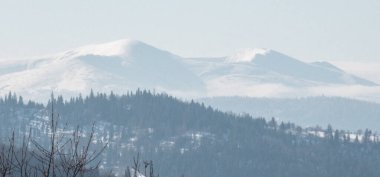 Karla kaplı ağaçlarla kaplı kış manzarası