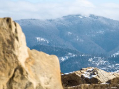Karla kaplı ağaçlarla kaplı dağ manzarası