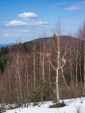 Vitoşa Dağı, İspanya 'da kış manzarası