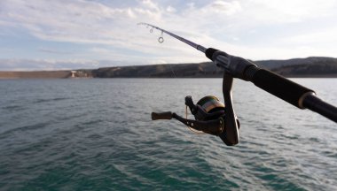 Göldeki olta kamışı