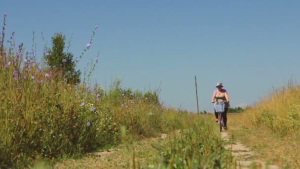 Mujer montando su bicicleta a lo largo del campo - movimientos panorámicos — Vídeos de Stock