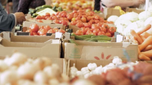 Λαχανικά στον πάγκο στο σούπερ μάρκετ. Αγοραστές επιλέξουν λαχανικά — Αρχείο Βίντεο