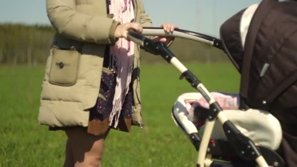 Moeder wiegen een baby in een wandelwagen. Een jonge moeder met een baby in de natuur. Een verticale panorama van beneden naar boven. — Stockvideo