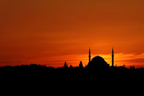 Istanbul Camii siluet