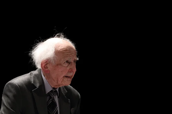 Zygmunt bauman