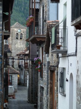 Canlı renkli çiçeklerle süslenmiş güzel mavi bisiklet turnesinin portresi. Arties, valle de Aran. Pireneler.