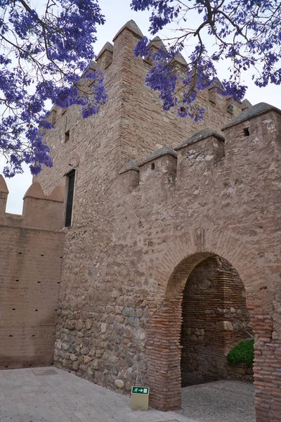 Alcazaba Almeria Views One Towers Castle Fortress Next Blue Jacaranda — Stock Photo, Image