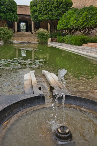 Сады Алькасаба Альмерия Андалусия Испания Пруд Фонтаны Водяные Лилии — стоковое фото