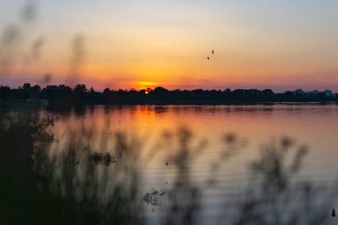 Gün batımında manzara. Yumuşak odak.