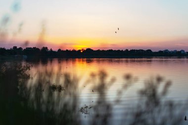 Gün batımında manzara. Yumuşak odak.