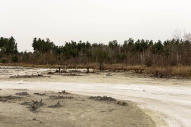 Sıkıcı bir manzara. Bulutlu hava.