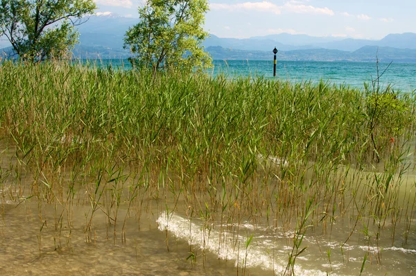 Vista del lago de Garda — Foto de Stock