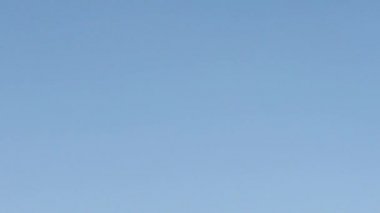 Gökyüzündeki YELLOW HELIUM BALONLARININ İLK GÜN SONRA.