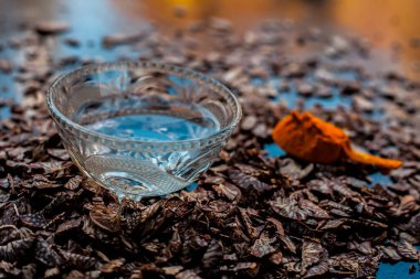 Supari ya da betel fındığı içeren pürüzsüz cilt maskesi ve siyah ahşap bir yüzey üzerinde biraz zerdeçal tozu ve su..