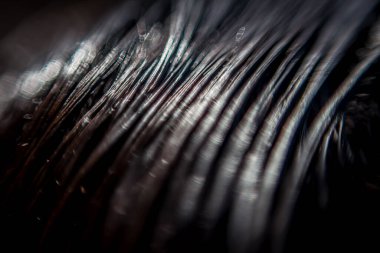 İpeksi, pürüzsüz siyah saçlar..