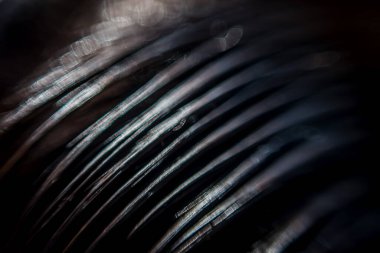 İpeksi, pürüzsüz siyah saçlar..