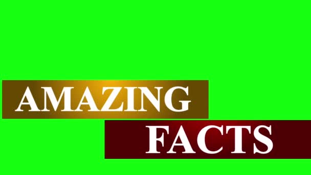 Amazing Facts Unteres Drittel Hoher Auflösung Animierte Erstaunliche Fakten Unteren — Stockvideo