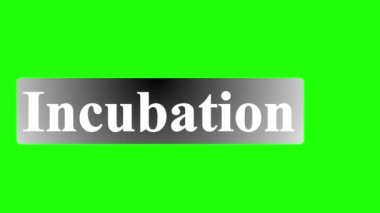 Canlandırılmış basit ve temiz üçüncü alt entübasyon ile altın renkli, yeşil ekranlı