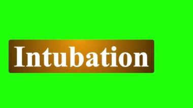 Gri metalik metinde kuluçka dönemiyle alt üçüncüyü canlandırdı, Yeşil Ekran 'da daha aşağı üçüncü parlaktı.